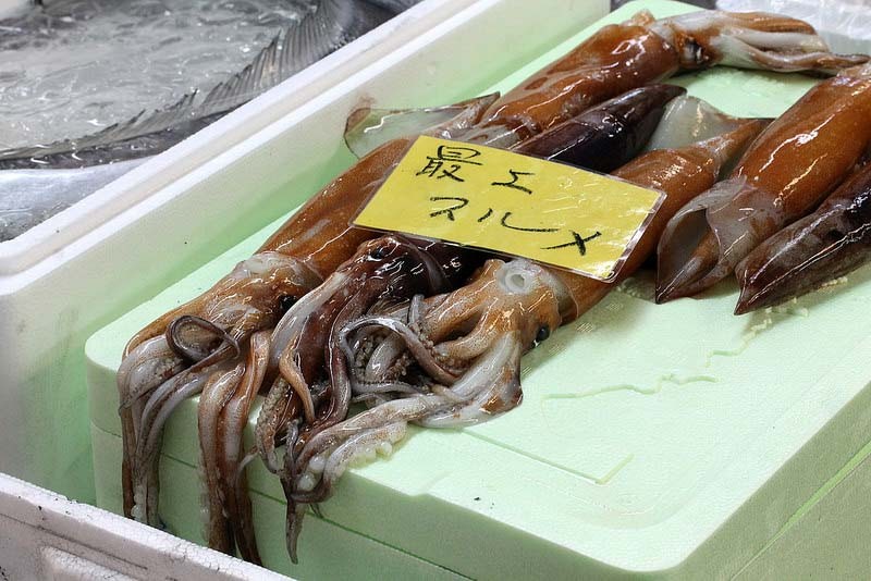 tsukiji-fish-market-squid