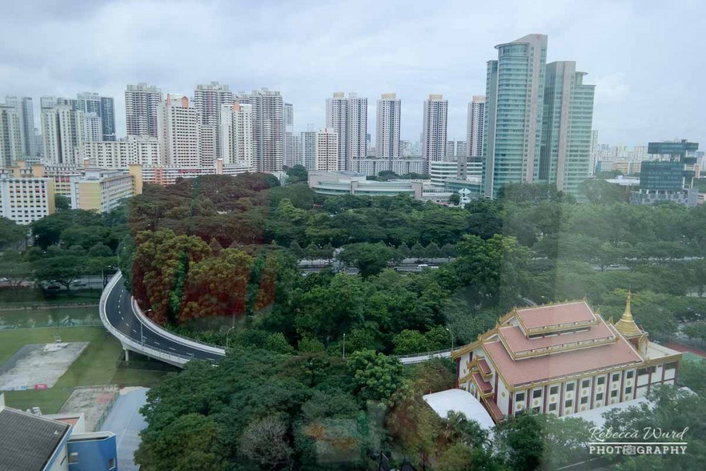view-from-ramada