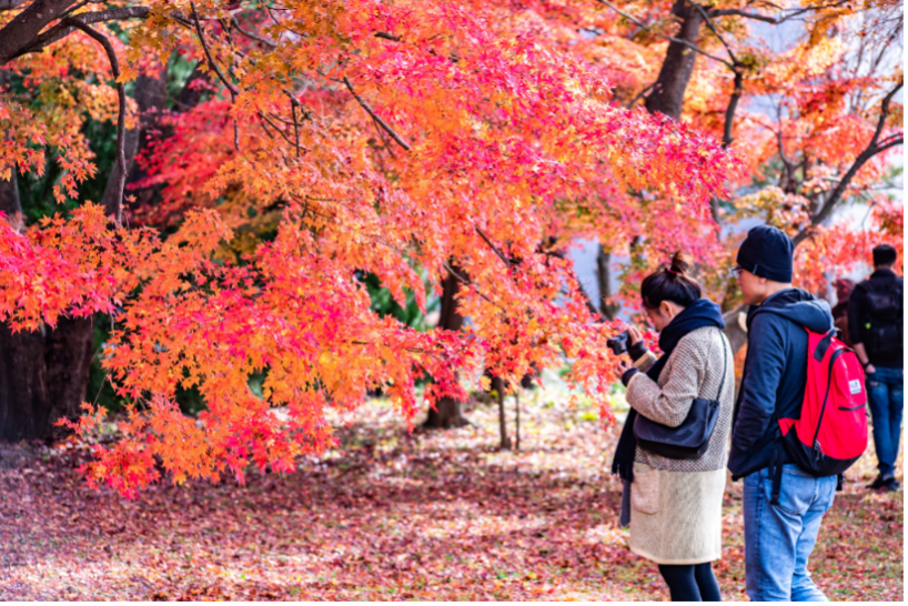 The Season of Savings Why You Should Travel During Shoulder Season